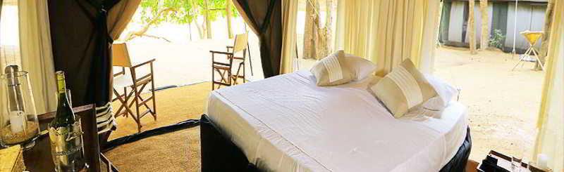 Leopard Trails Yala Hotel Buitenkant foto